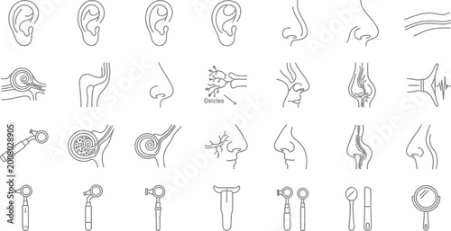 Set of Otolaryngology and ENT Medical Icons.