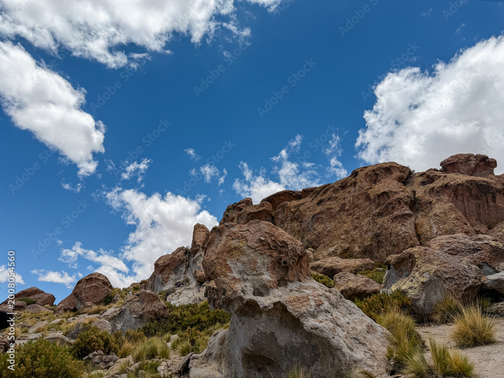 Fototapeta premium Valley of the rocks, Tomave - Potosi, Bolivia