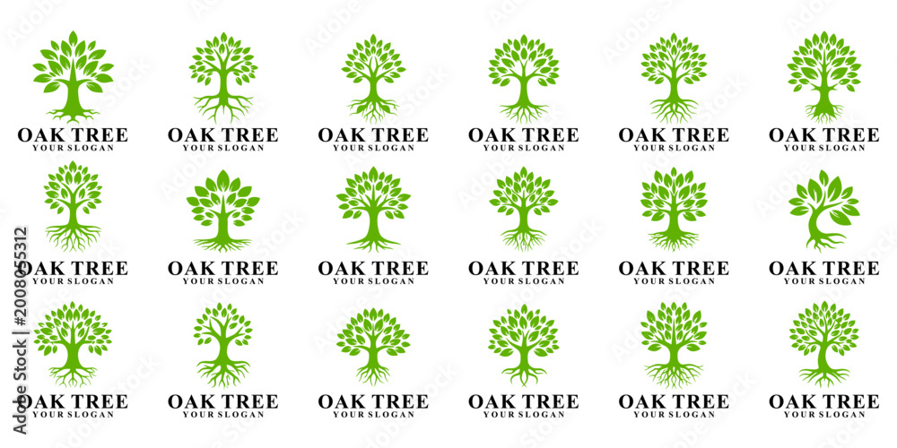 Fototapeta premium Collection of organic branding tree logos, and environmental identities.