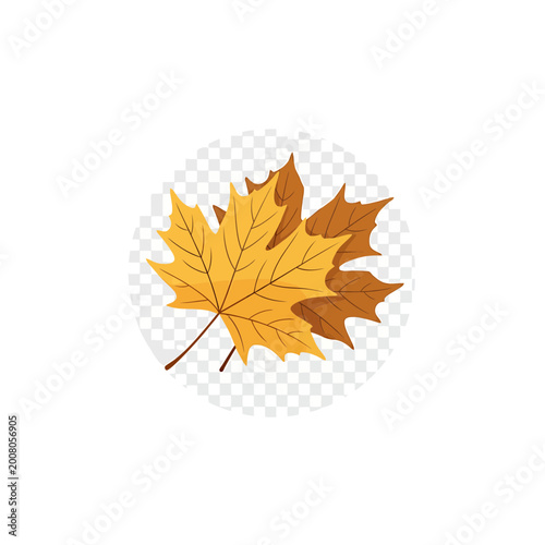 Autumn maple leaves flat vector illustration on transparent circle