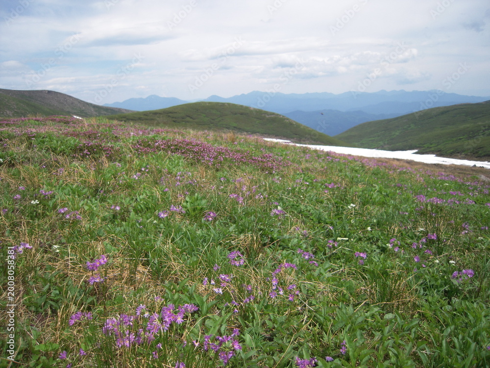Obraz premium Mt.Kamihokametokku in summer
