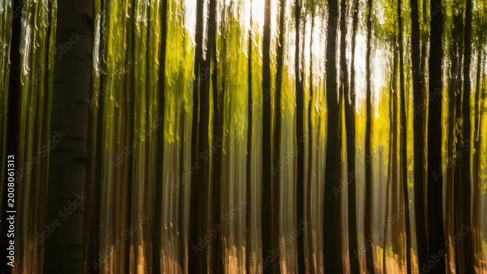 Fototapeta premium Abstract photo of a forest created with vertical motion blur.