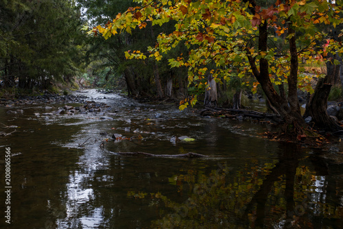 Autumn river landscape with colorful trees and flowing water moody seasonal nature scene
