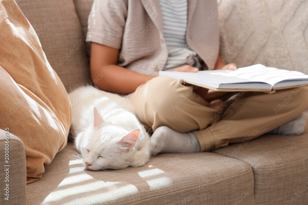 Fototapeta premium Cute little boy with white cat reading book on sofa at home, closeup