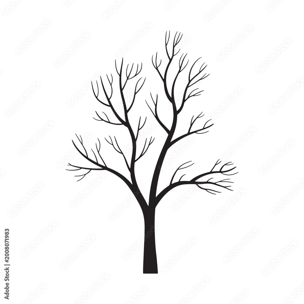 Obraz premium Bare tree silhouette against a white background