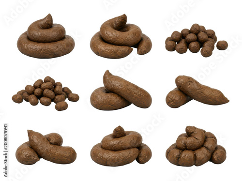 Set of Realistic Brown Poop Piles in Different Shapes, Cartoon Style Isolated on Transparent Background