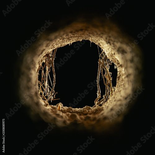 Inside an underground dirt cave with rough walls, stones, and vines. Mysterious subterranean tunnel opening into light. Empty hole into the earth. Old burrow, sewer, or dugout passage.