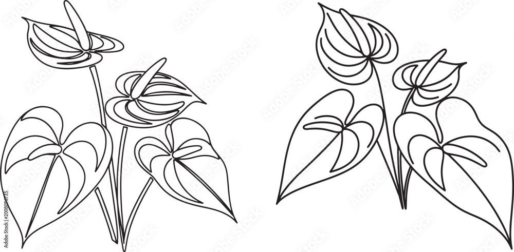 Fototapeta premium Anthurium flowers and leaves continuous line art