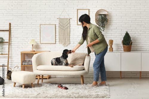 Billede på lærred Female dog handler training pet at home