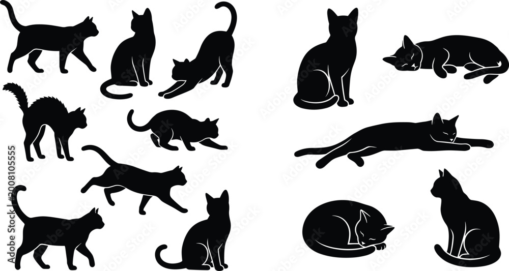 Fototapeta premium Cat silhouette set with multiple poses including walking stretching jumping and sleeping isolated pet vector illustration collection