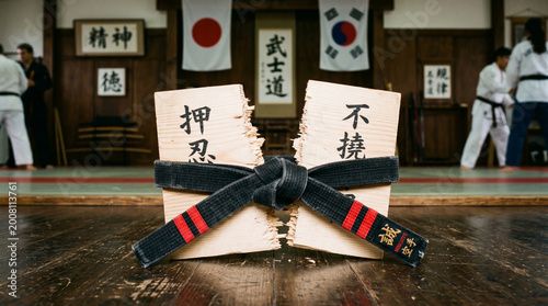 Martial Arts Belt Symbolizing Discipline and Respect | Karate Dojo with Japanese Philosophy | Traditional Japanese Martial Arts Belt Display