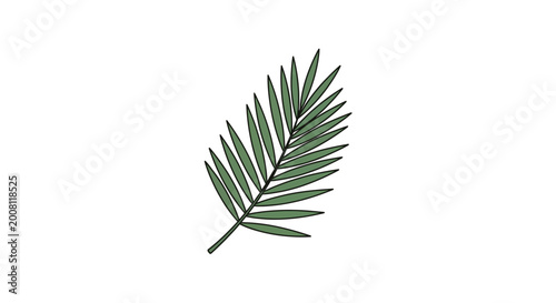 Bild auf Leinwand Green leaf from a tree branch.