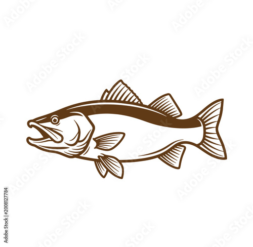 Brown fish with open mouth and fins isolated on transparent background