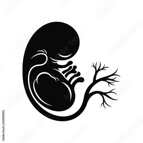 Foto Black Fetus Icon Illustration.