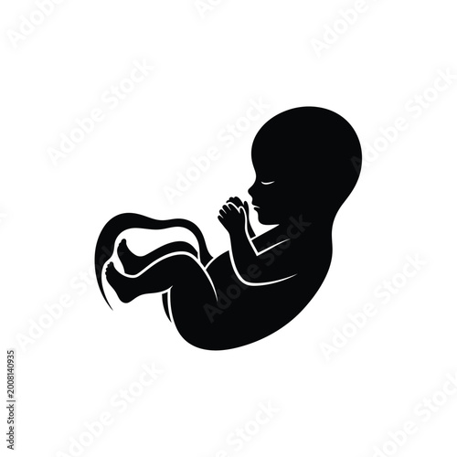 Bild auf Leinwand Black Fetal Baby Silhouette Illustration.