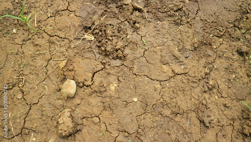 Photos Cracked dry brown soil with small rocks, sparse grass, and clumps