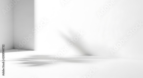 Shadow of leaves falls on a clean white wall and empty floor area.