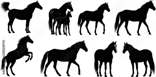Canvastavla Set, of, eight, black, horse, silhouettes, in, various, poses, like, rearing, walking, standing, with, foal, for, farm, ranch, equestrian, designs