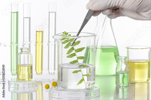 Konstfotografi Botanical extract research in a clean cosmetic laboratory, showcasing natural formulation and herbal science process