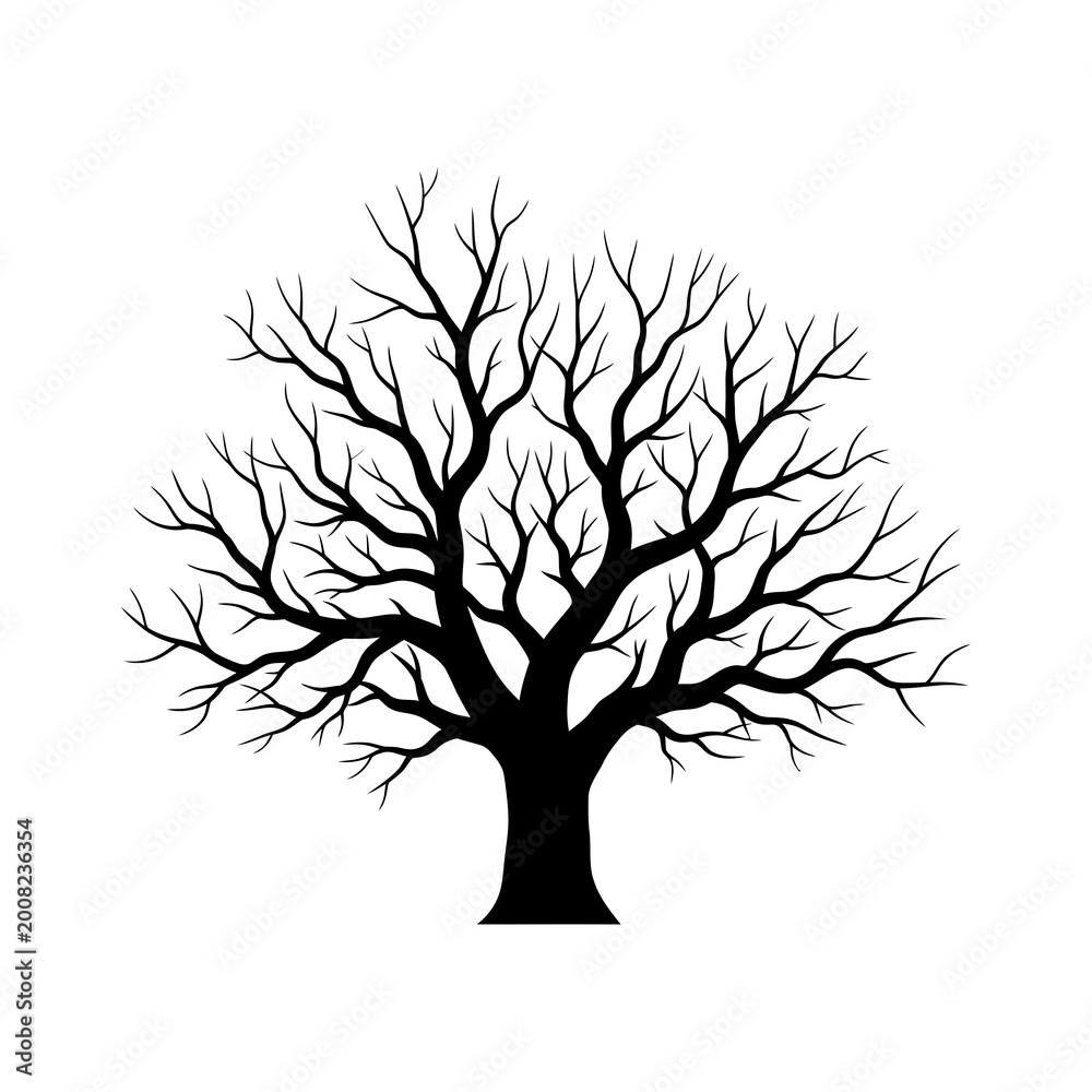 Fototapeta premium Black silhouette of a deciduous tree with intricate leafless branches and a thick trunk, isolated on a white background, representing a bare winter tree for nature design elements.