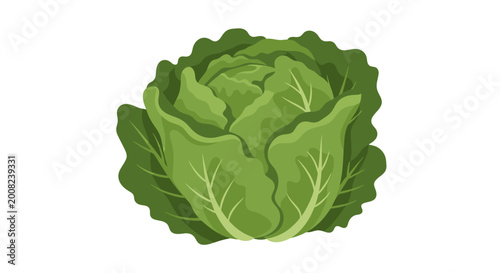 Tableau sur toile Fresh Green Lettuce Head Vegetable.