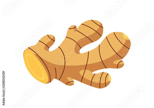 Tableau sur toile Illustration of a Fresh Ginger Root Vegetable.