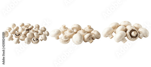 Cuadro en lienzo Assorted white button mushrooms displayed in three generous piles on white backg