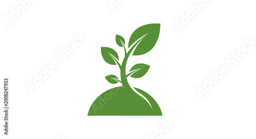 Bild auf Leinwand Green Plant Growing From Soil.