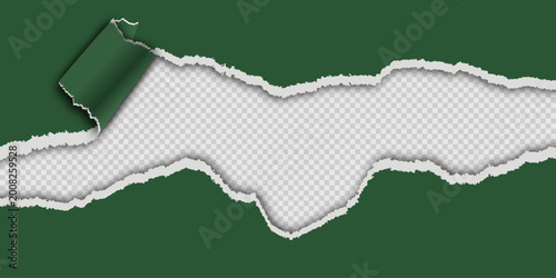 Green torn paper with ripped edge and curl. Isolated vector illustration of dark green paper sheet with ragged borders and curled corner on transparent background for message and design mockup.
