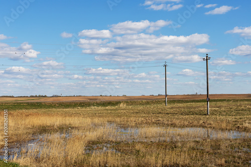 Photos Rural flooded area filled with migrating bird groups and conservation significan