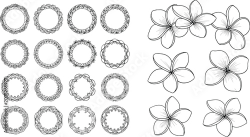 Konstfotografi Elegant hand drawn floral wreath borders and plumeria flower set with line art b
