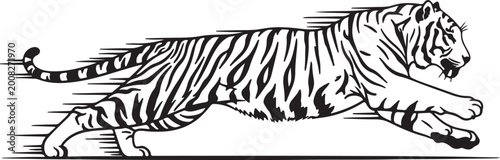 Photography Tiger silhouette vector