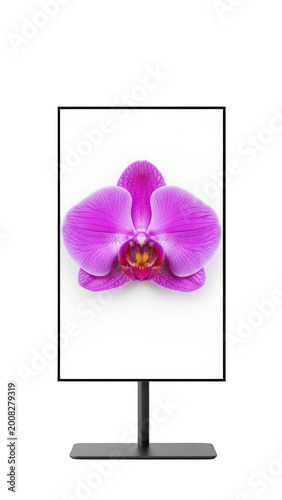 Vibrant orchid flower isolated on transparent background