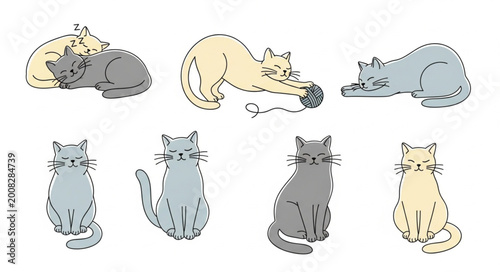 Collection of Hand Drawn Cats in Various Poses and Colors.