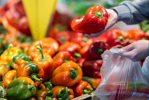 фотографія Woman hands hold a close up of bell peppers and put it in a bag for packaging