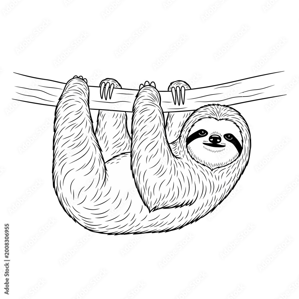 Fototapeta premium Line Art Sloth Hanging from a Branch