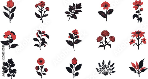 Red and black floral 15 flower white background, flowers floral red flowers black flowers