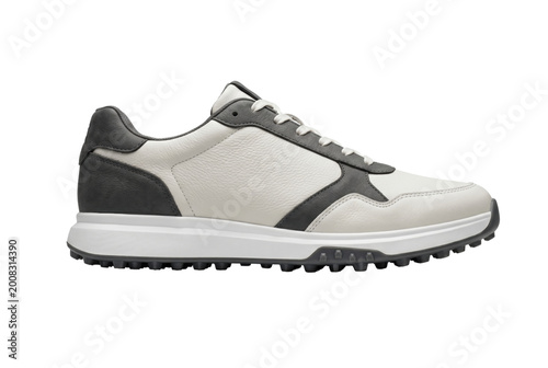 Canvastavla Gray athletic sport shoe side view isolated