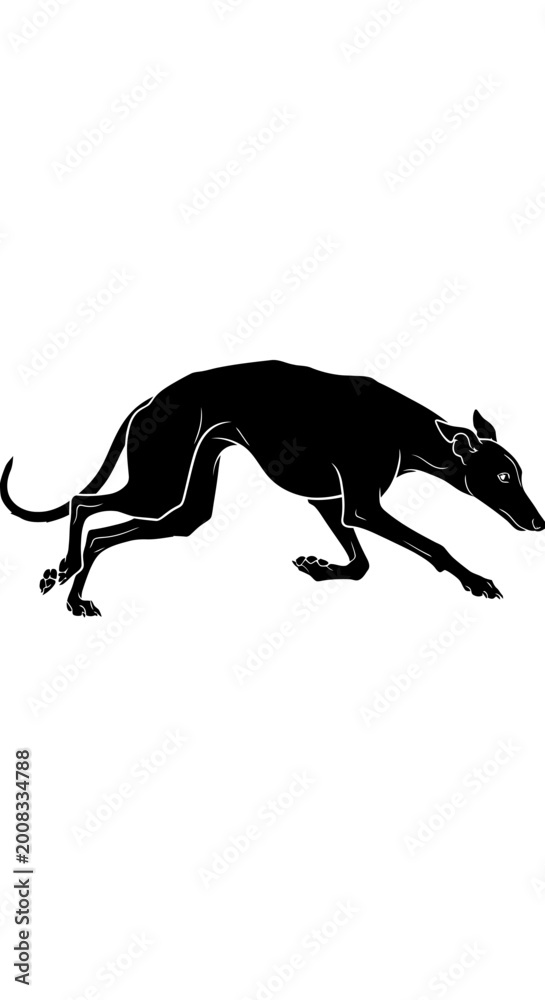 Fototapeta premium Black silhouette of a greyhound running, minimalist style