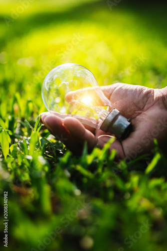 Hand holding a glowing light bulb on green grass, symbolizing renewable energy, eco-friendly ideas, sustainability, and harmony between technology and nature.