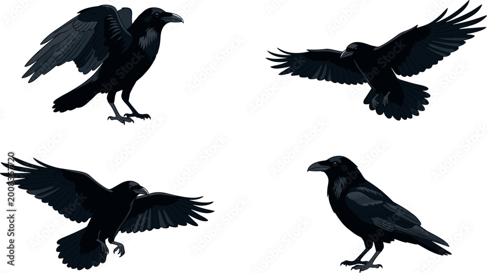 Fototapeta premium Black raven and crow bird vector illustration set featuring flying and perched poses for Halloween nature mystery gothic branding minimal flat design collection.