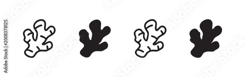Fotografie Ginger Root Spice Icon Set for Healthy Cooking and Herbal Medicine