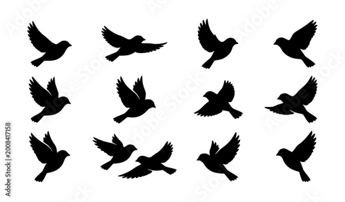 Photos Sparrow bird flying silhouette soaring wings vector illustration isolated on whi