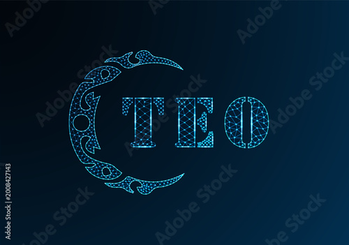 Quadro su tela Low poly letter logo TEO design
