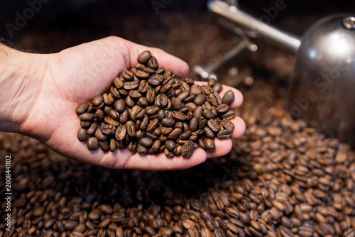 Photos Close up of artisan roaster holding a handful of freshly roasted coffee beans