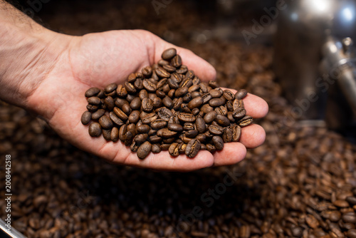 Принти на полотні Artisan Roaster Holding Freshly Roasted Coffee Beans over Cooling Tray