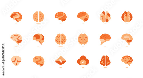 Foto Brain anatomy in various sections.