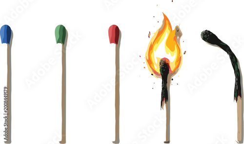 Fotografia Row of Wooden Matches Showing Different Stages of Ignition from Unlit to Burning