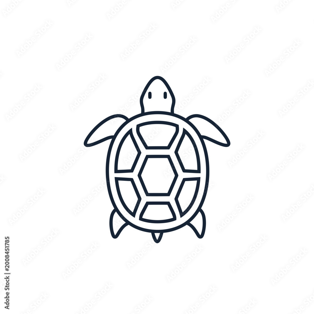 Obraz premium cute hand-drawn turtle mascot with hexagonal shell vector illustration