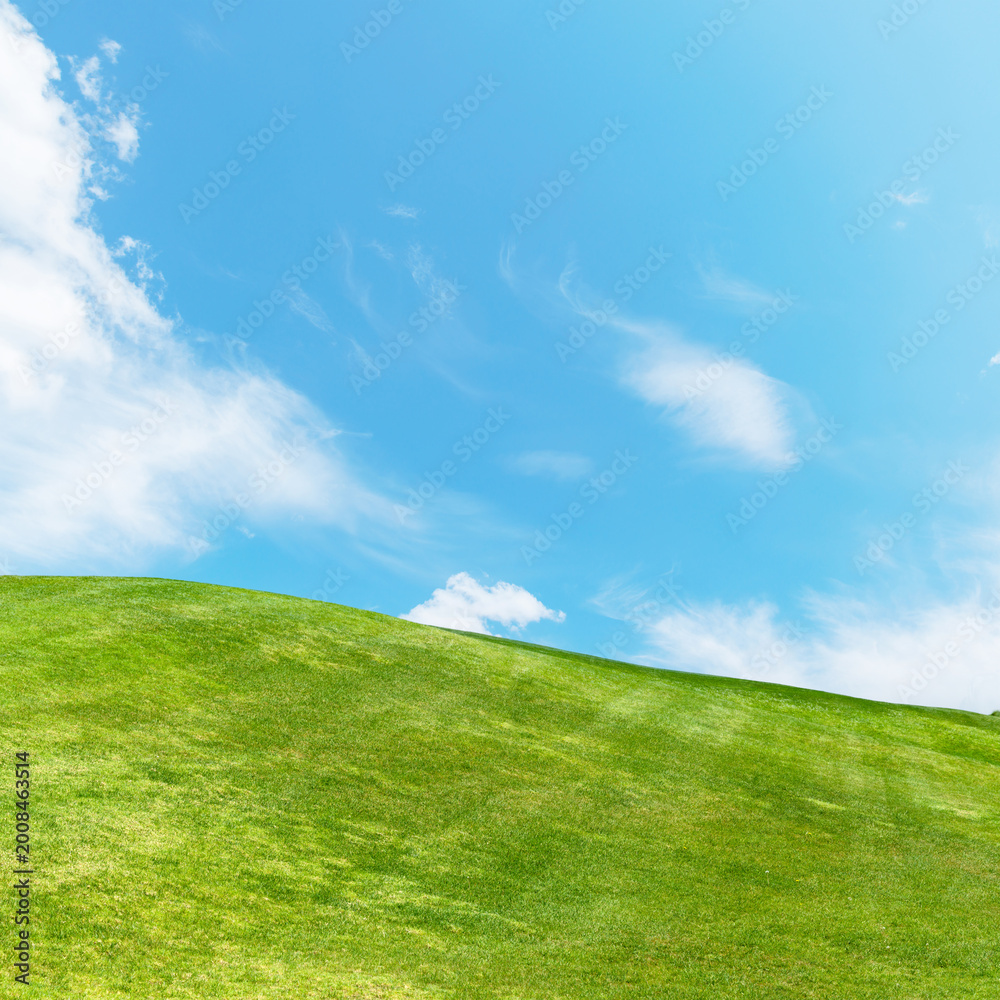 Fototapeta premium Green grass hill under blue sky minimal landscape background